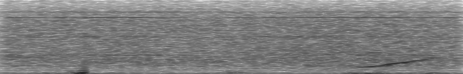 [Loading Spectrogram]