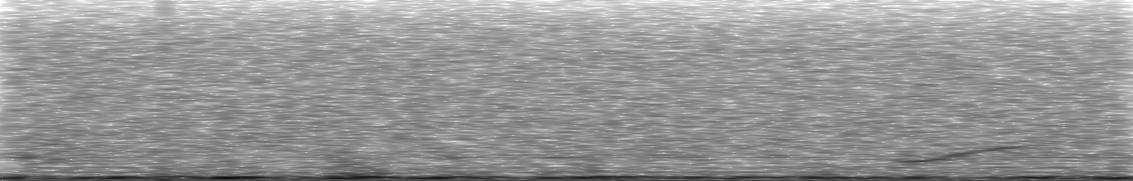 [Loading Spectrogram]