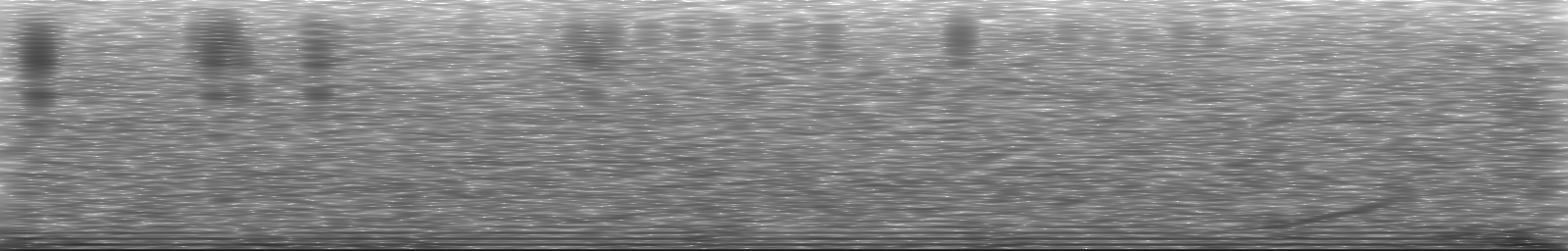 [Loading Spectrogram]