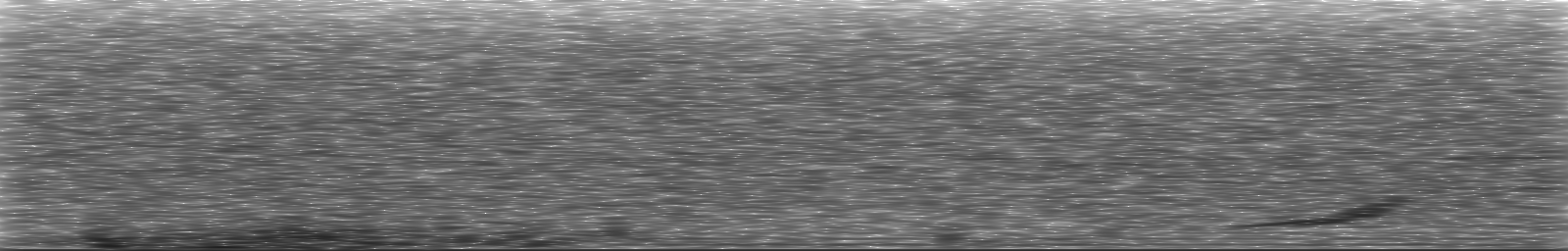 [Loading Spectrogram]