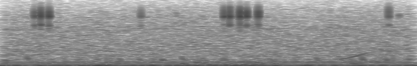 [Loading Spectrogram]