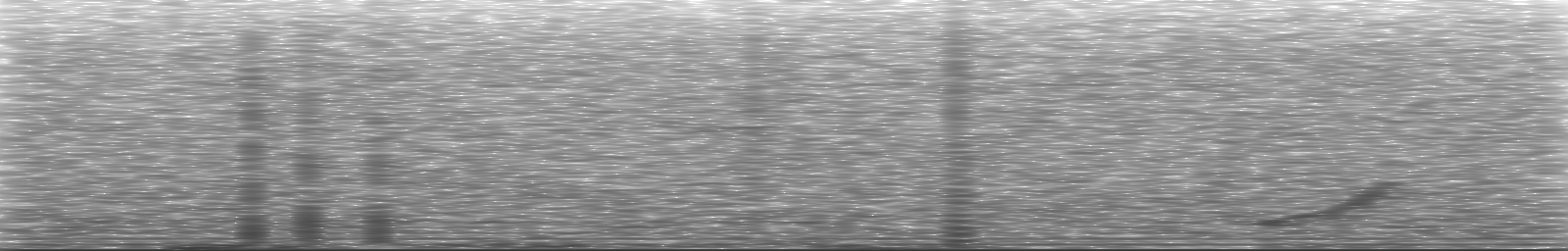 [Loading Spectrogram]