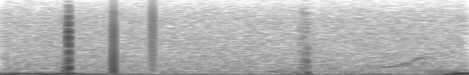 [Loading Spectrogram]