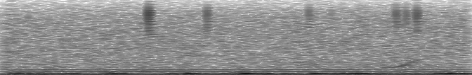 [Loading Spectrogram]