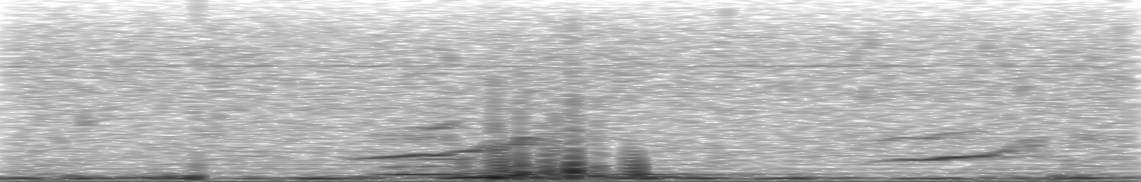 [Loading Spectrogram]