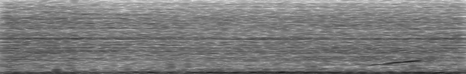 [Loading Spectrogram]