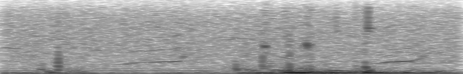 [Loading Spectrogram]