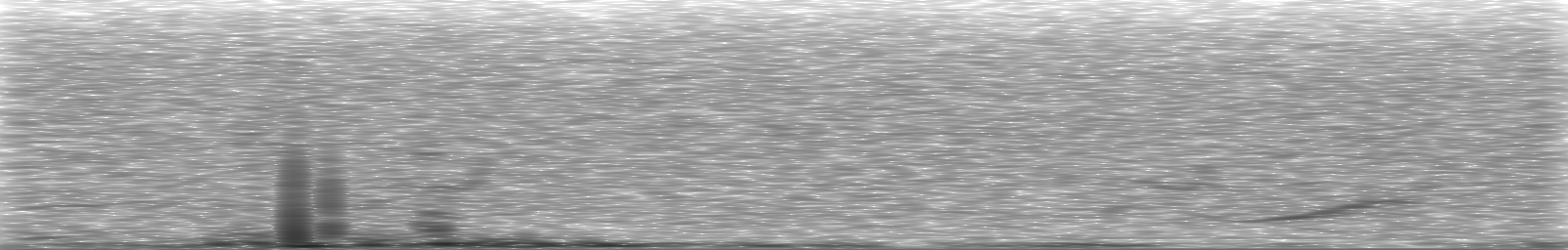 [Loading Spectrogram]