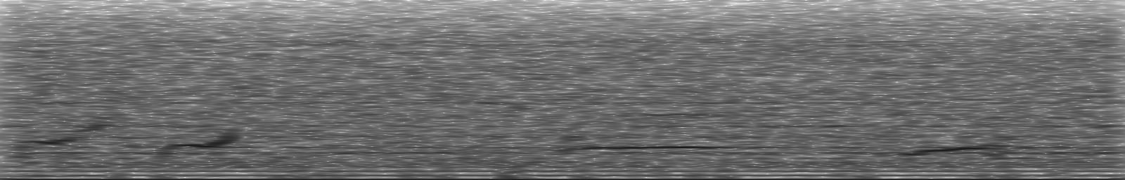 [Loading Spectrogram]