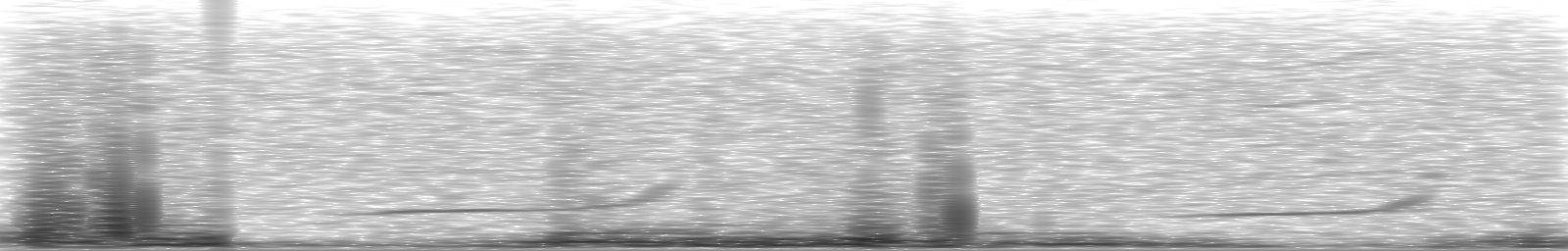 [Loading Spectrogram]