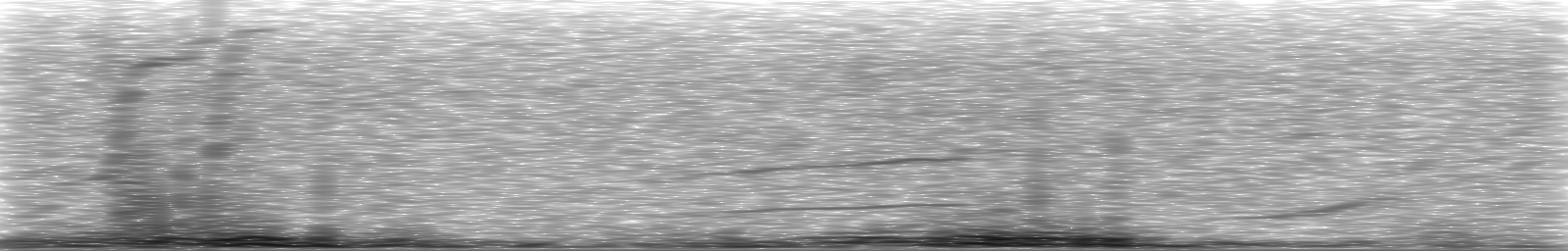[Loading Spectrogram]