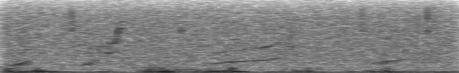 [Loading Spectrogram]