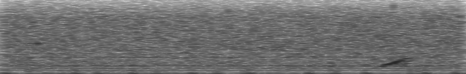 [Loading Spectrogram]