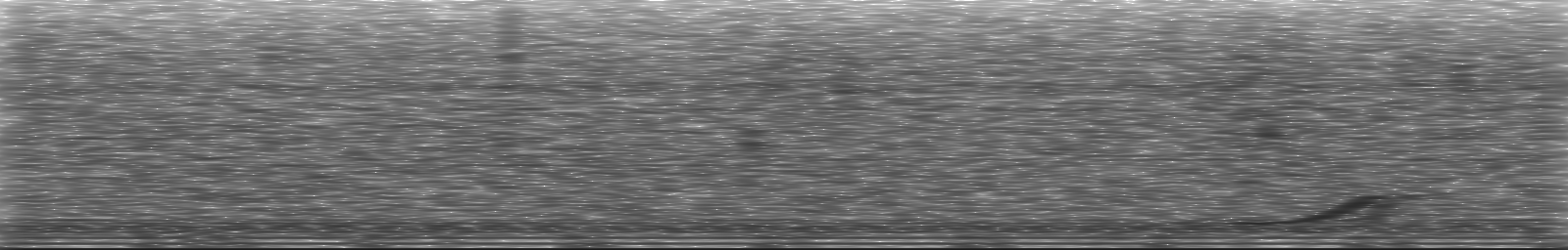 [Loading Spectrogram]