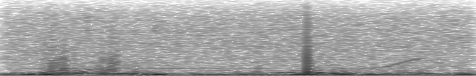 [Loading Spectrogram]