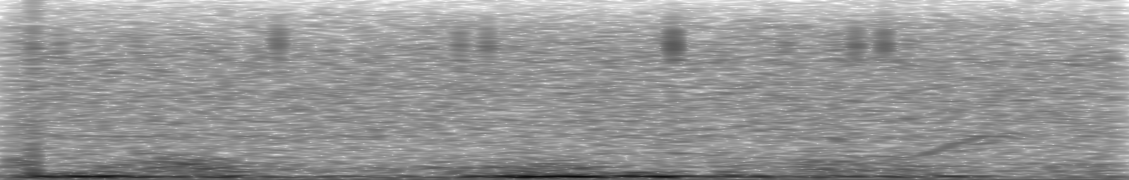 [Loading Spectrogram]