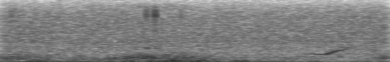 [Loading Spectrogram]