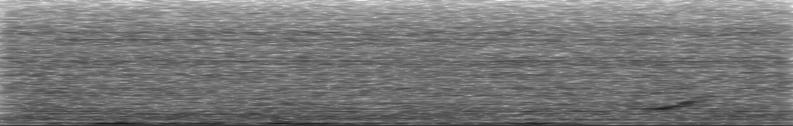 [Loading Spectrogram]