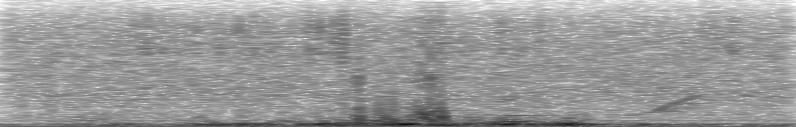 [Loading Spectrogram]