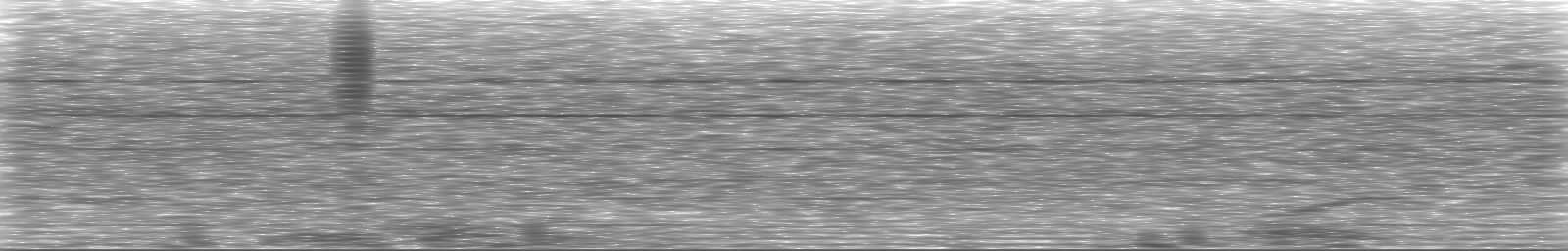 [Loading Spectrogram]