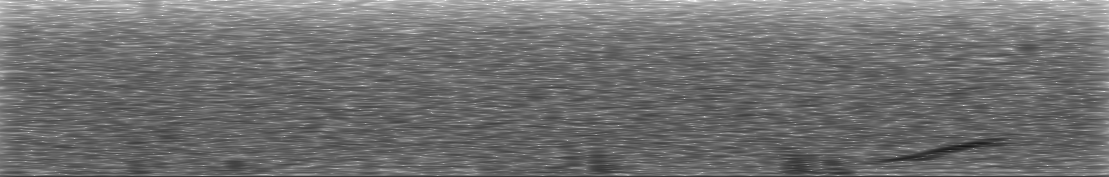 [Loading Spectrogram]