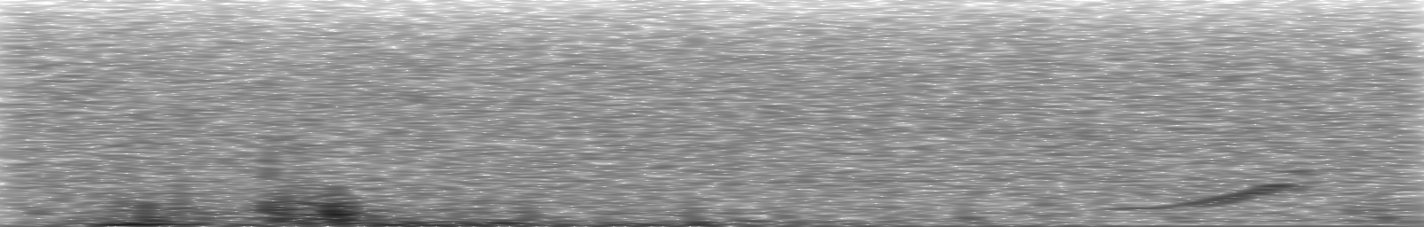 [Loading Spectrogram]