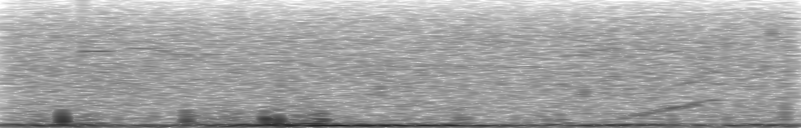 [Loading Spectrogram]