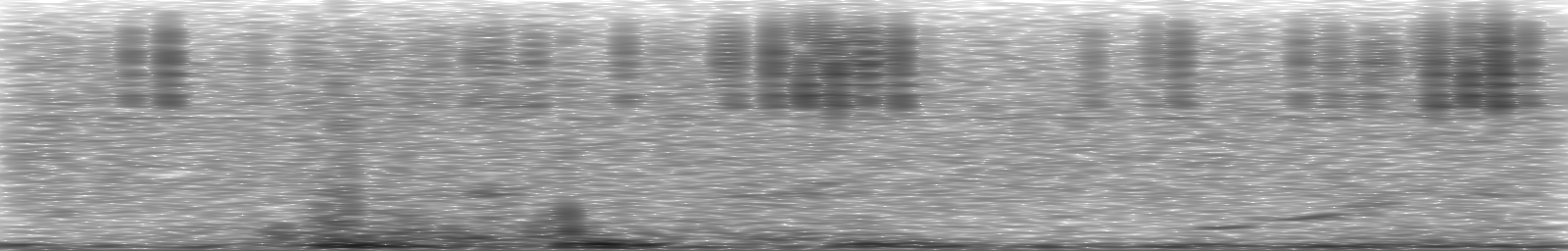 [Loading Spectrogram]