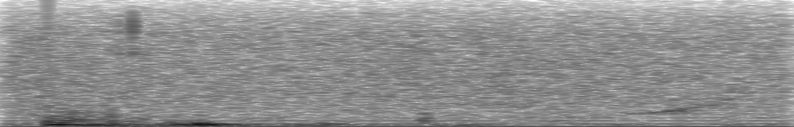 [Loading Spectrogram]