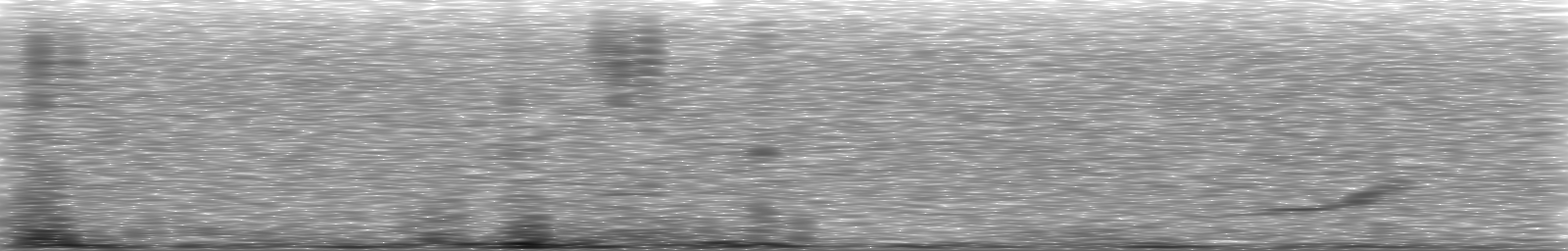 [Loading Spectrogram]