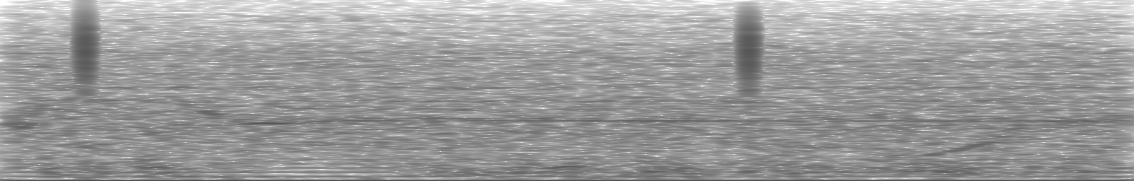 [Loading Spectrogram]