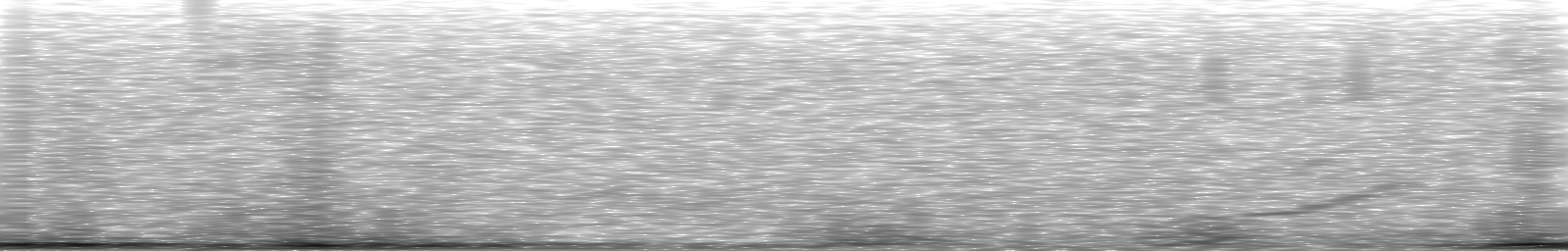 [Loading Spectrogram]