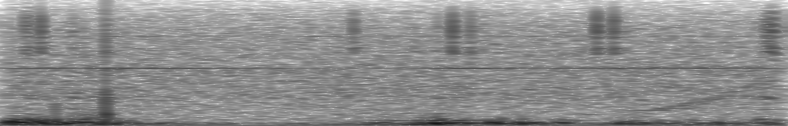[Loading Spectrogram]
