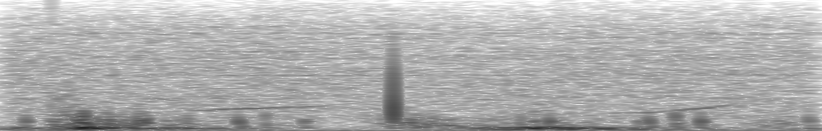 [Loading Spectrogram]