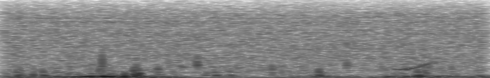 [Loading Spectrogram]