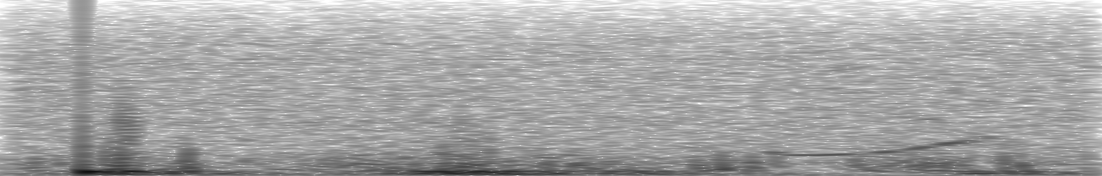 [Loading Spectrogram]