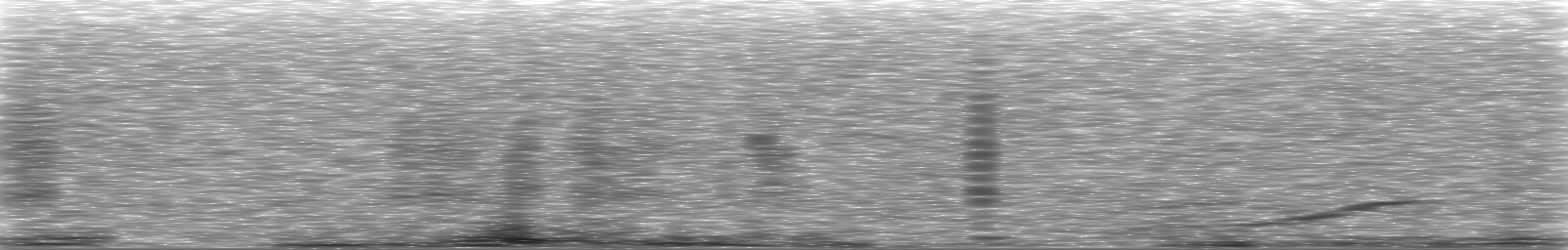 [Loading Spectrogram]