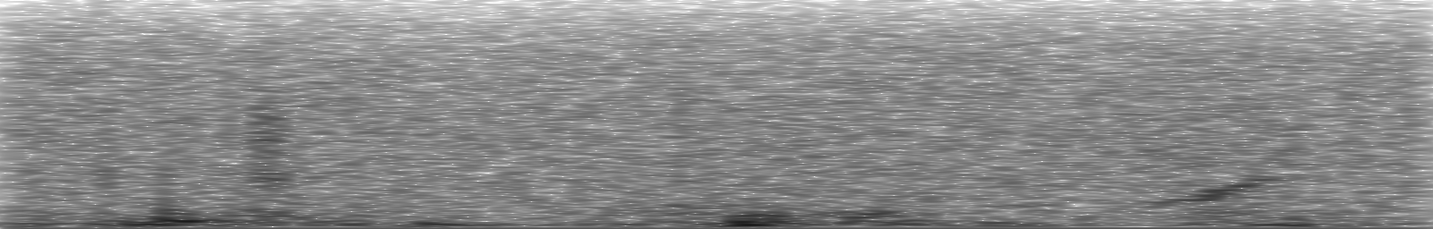 [Loading Spectrogram]