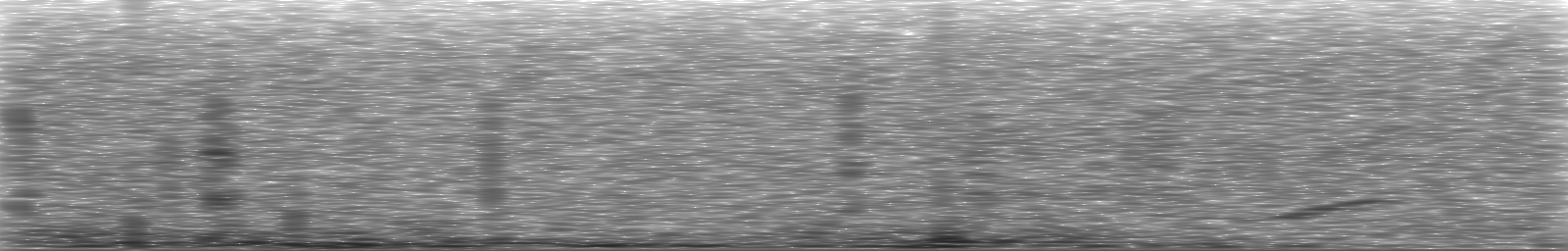 [Loading Spectrogram]