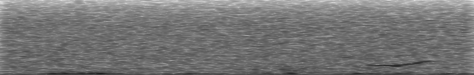 [Loading Spectrogram]