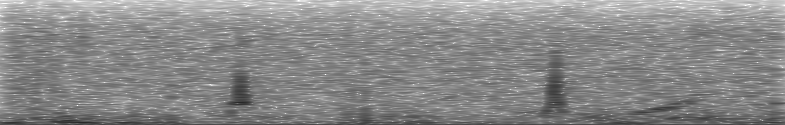 [Loading Spectrogram]