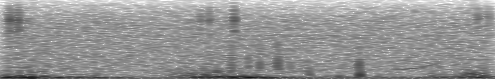 [Loading Spectrogram]