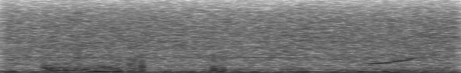 [Loading Spectrogram]