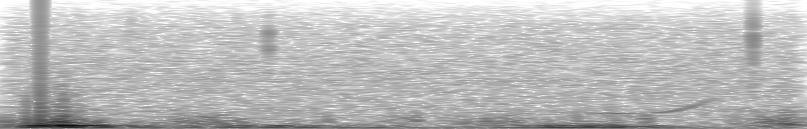 [Loading Spectrogram]