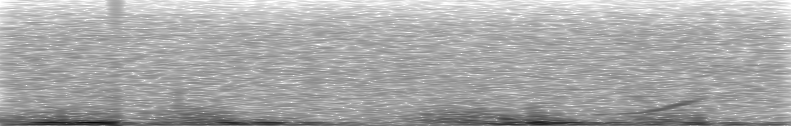 [Loading Spectrogram]