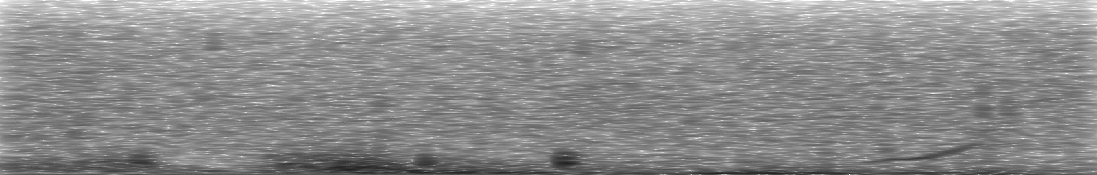 [Loading Spectrogram]