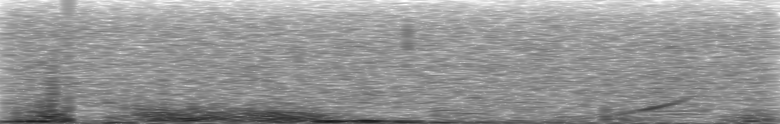 [Loading Spectrogram]