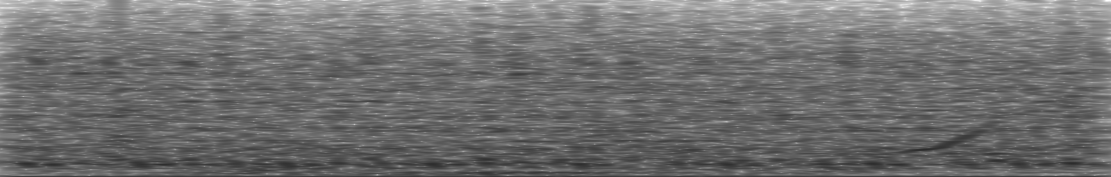 [Loading Spectrogram]