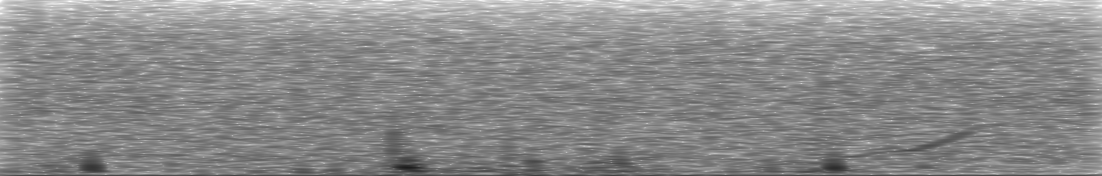 [Loading Spectrogram]