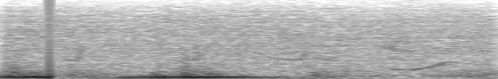 [Loading Spectrogram]